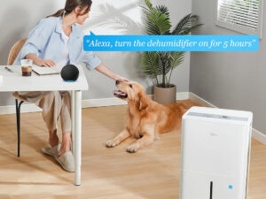 Top Best Dehumidifiers