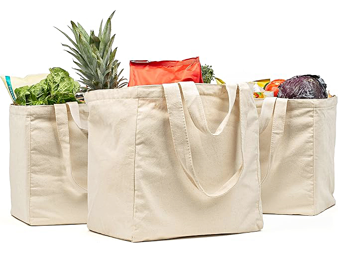 Best Reusable Grocery Bags